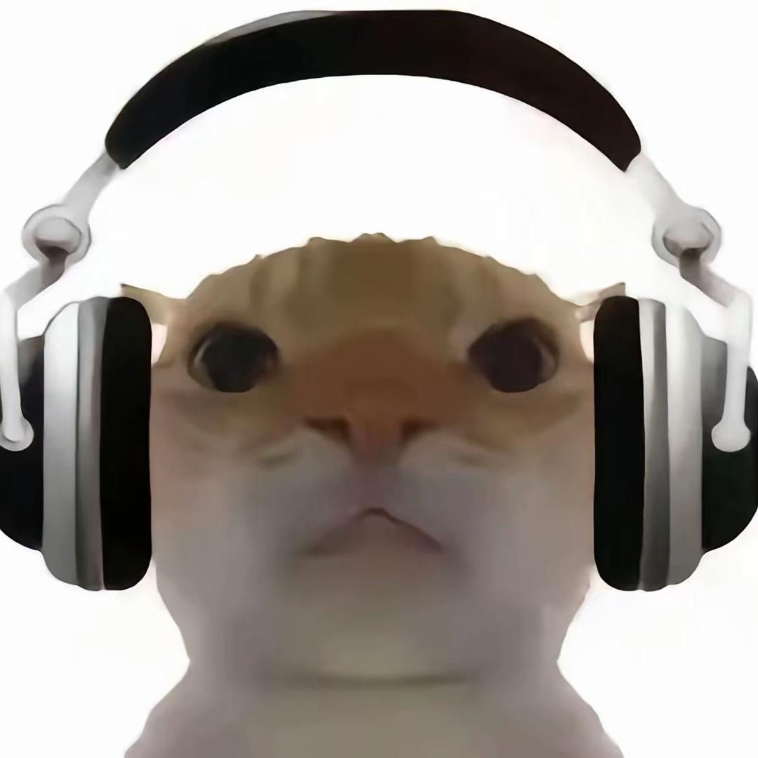 小猫聆听🎧