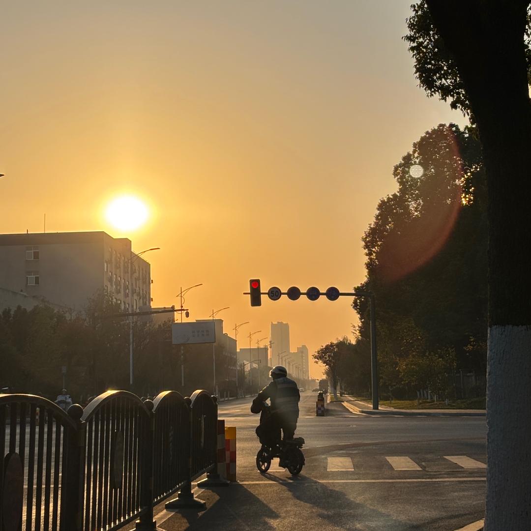 不菜怎么玩
