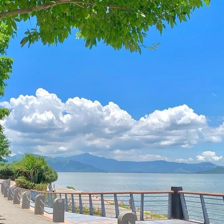藏物商贸