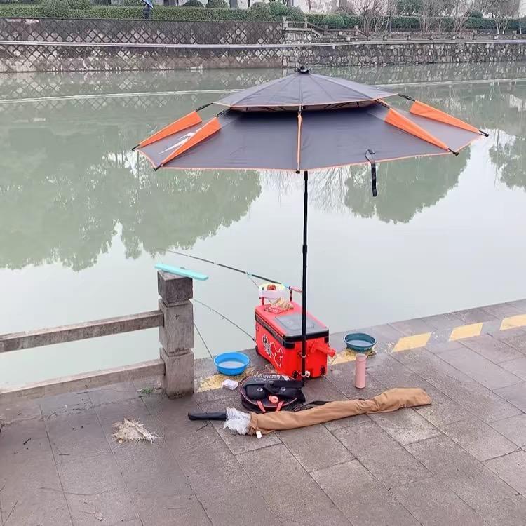 猴猴的给力