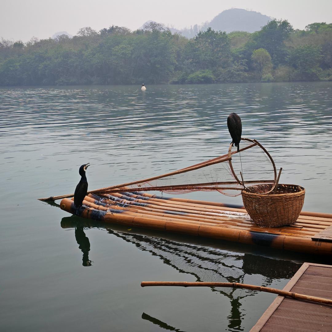 明天的太阳会照耀