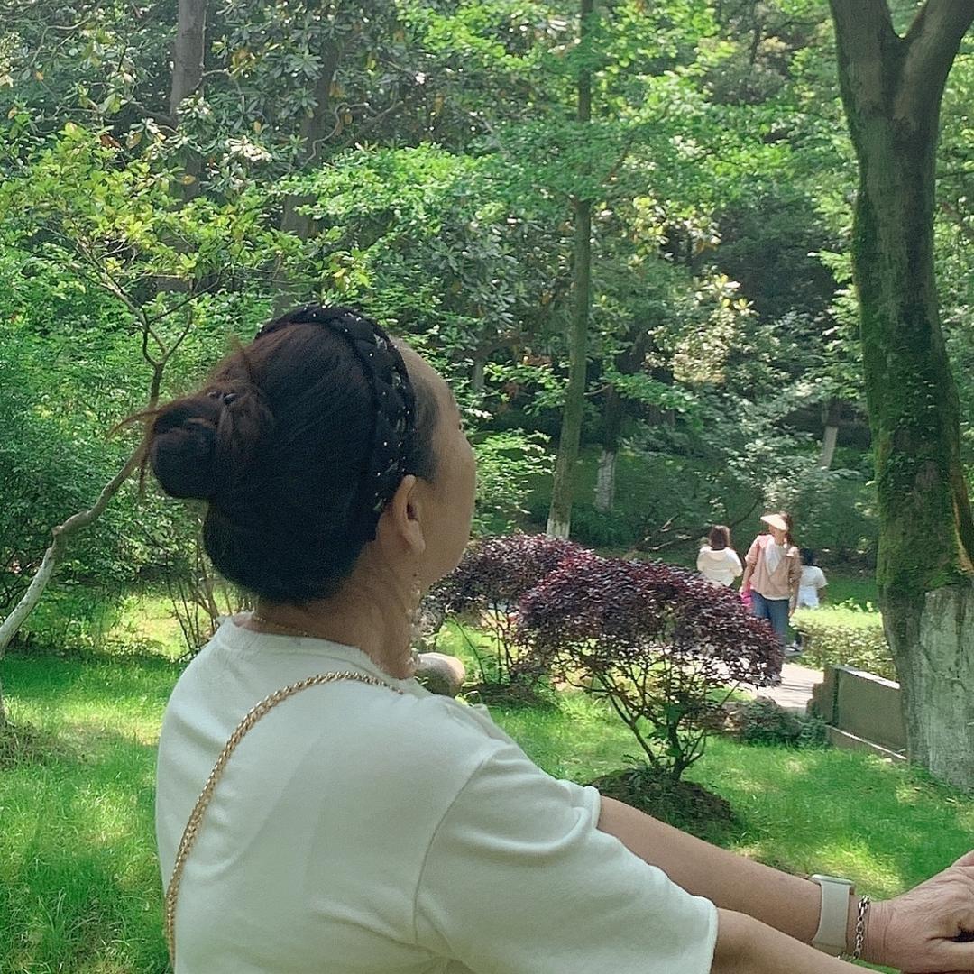 紫蝶翩翩
