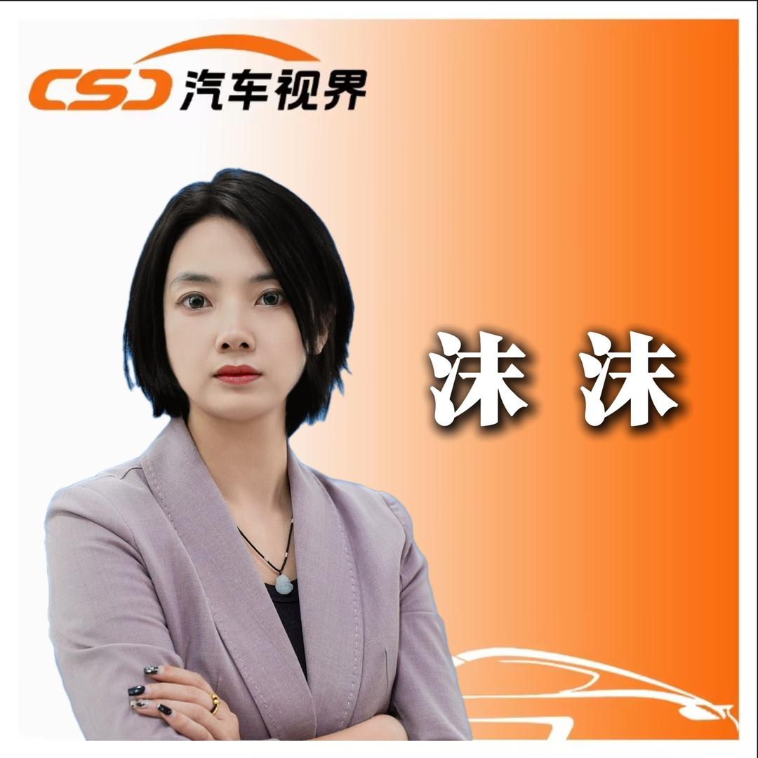 车视界（沫沫）