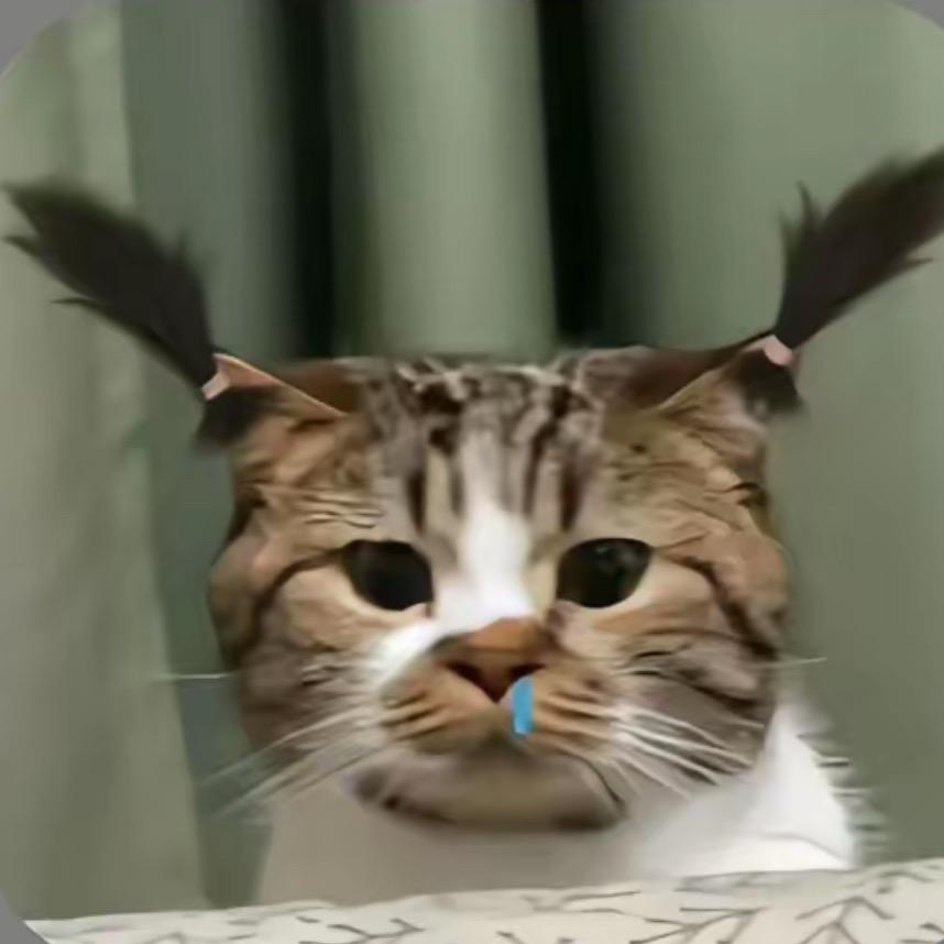 刺猬-
