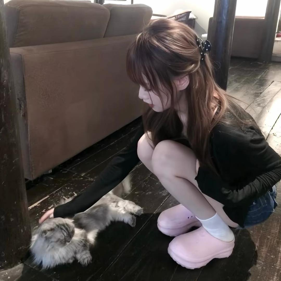 Y晴天
