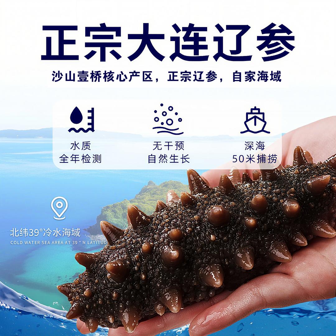 大连沙山海参