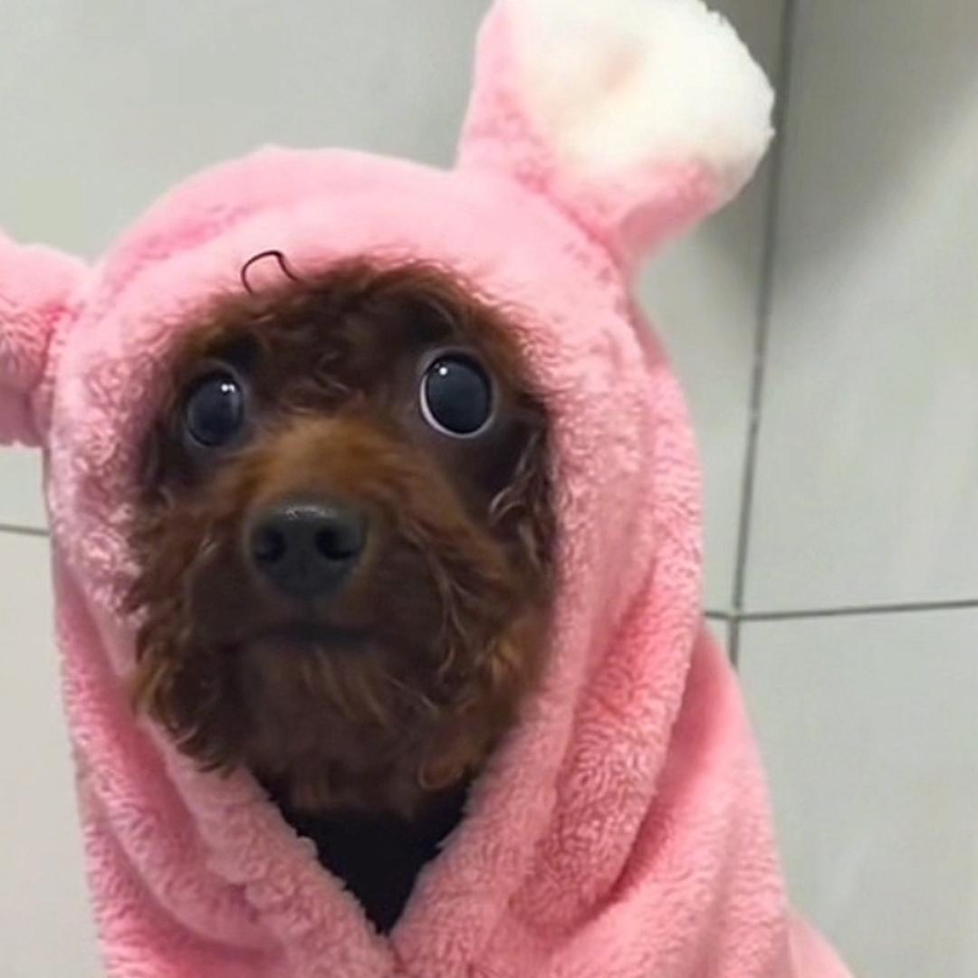 丑小宝💕