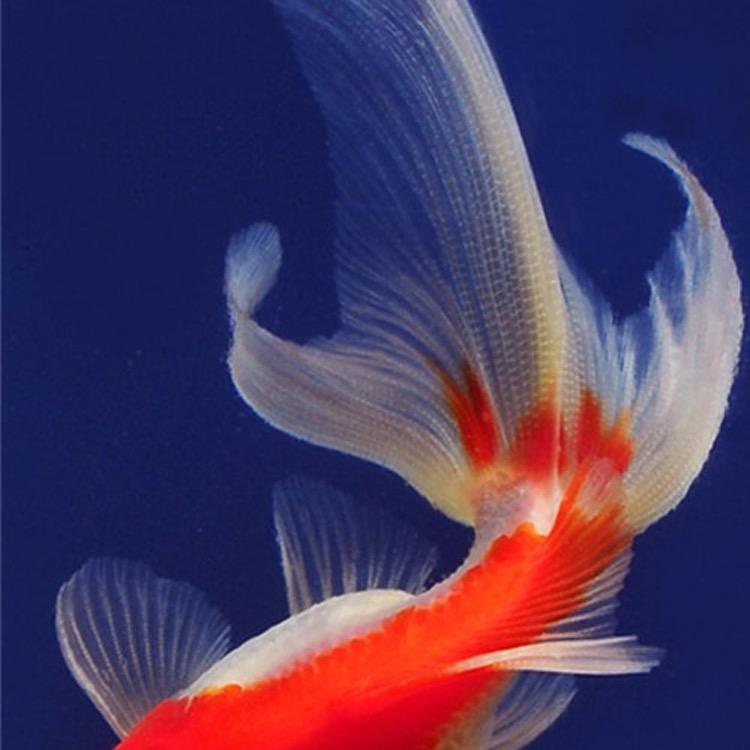缸好生活坊