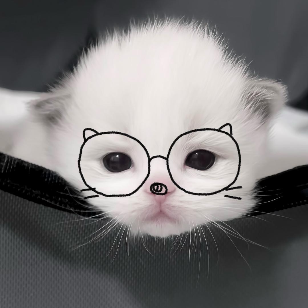 小洁控