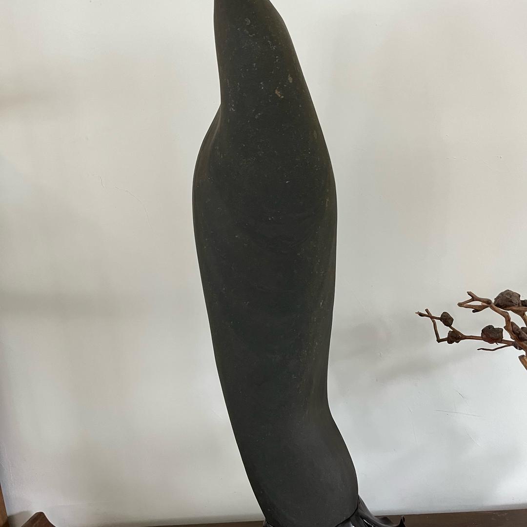 王挺.☞《小院时光》