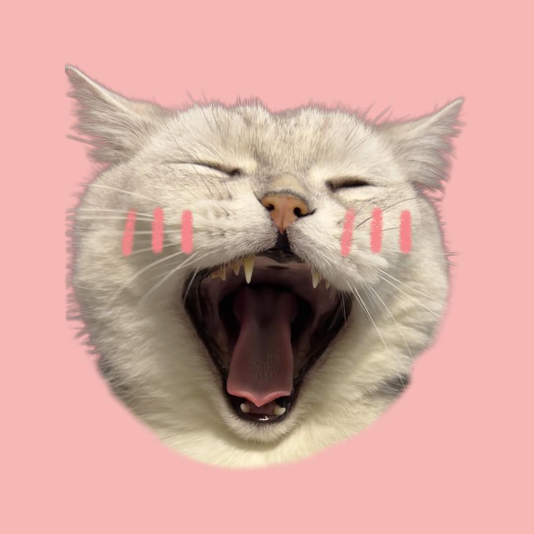 咩咩有一套（育猫版）