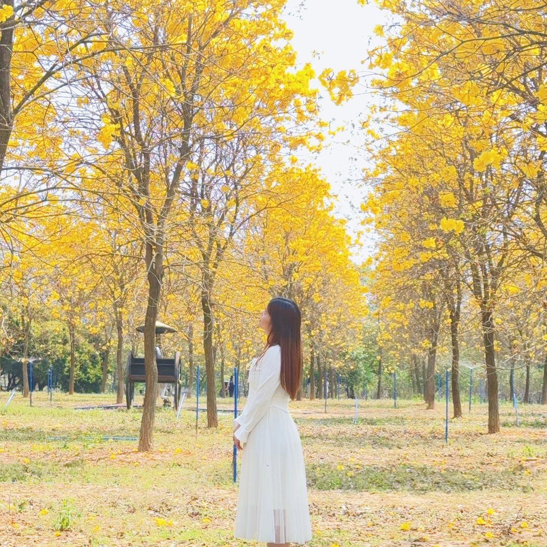 🌼 TT.jūn.🌸