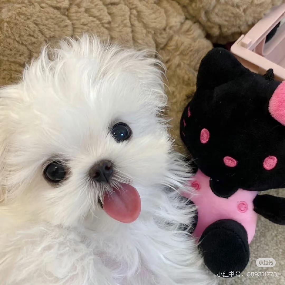 不要对我冷冰冰