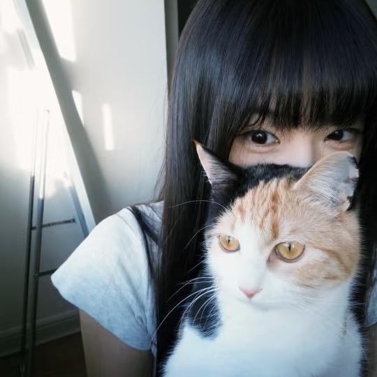 小猫不悲伤
