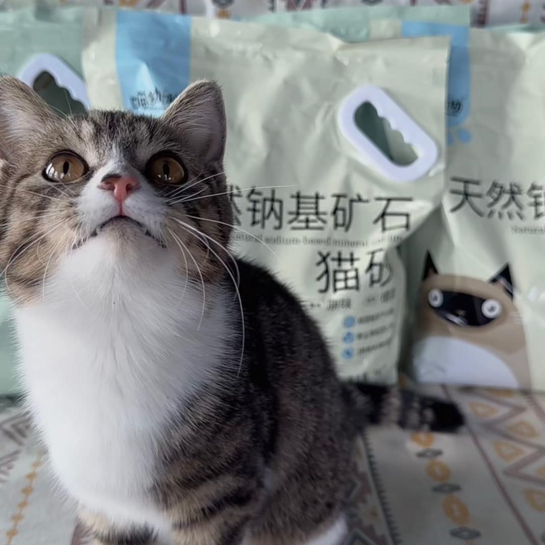 喵呦呦宠物用品猫砂
