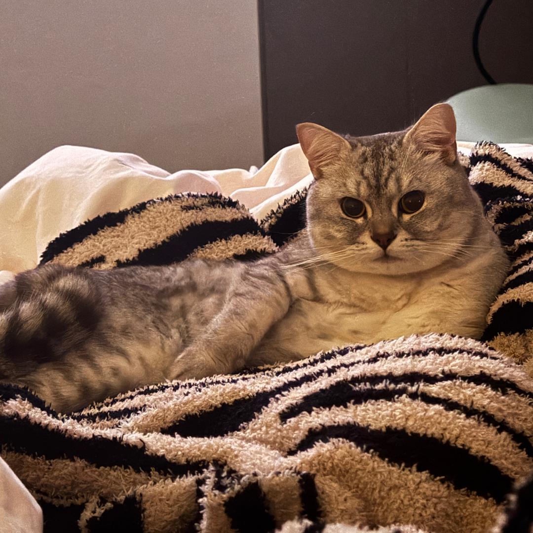 混吃等富第一名