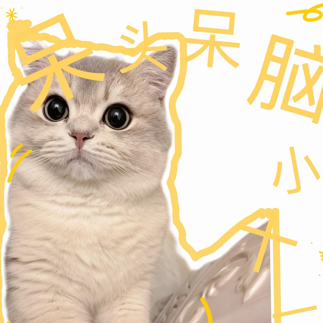 只爱香菜
