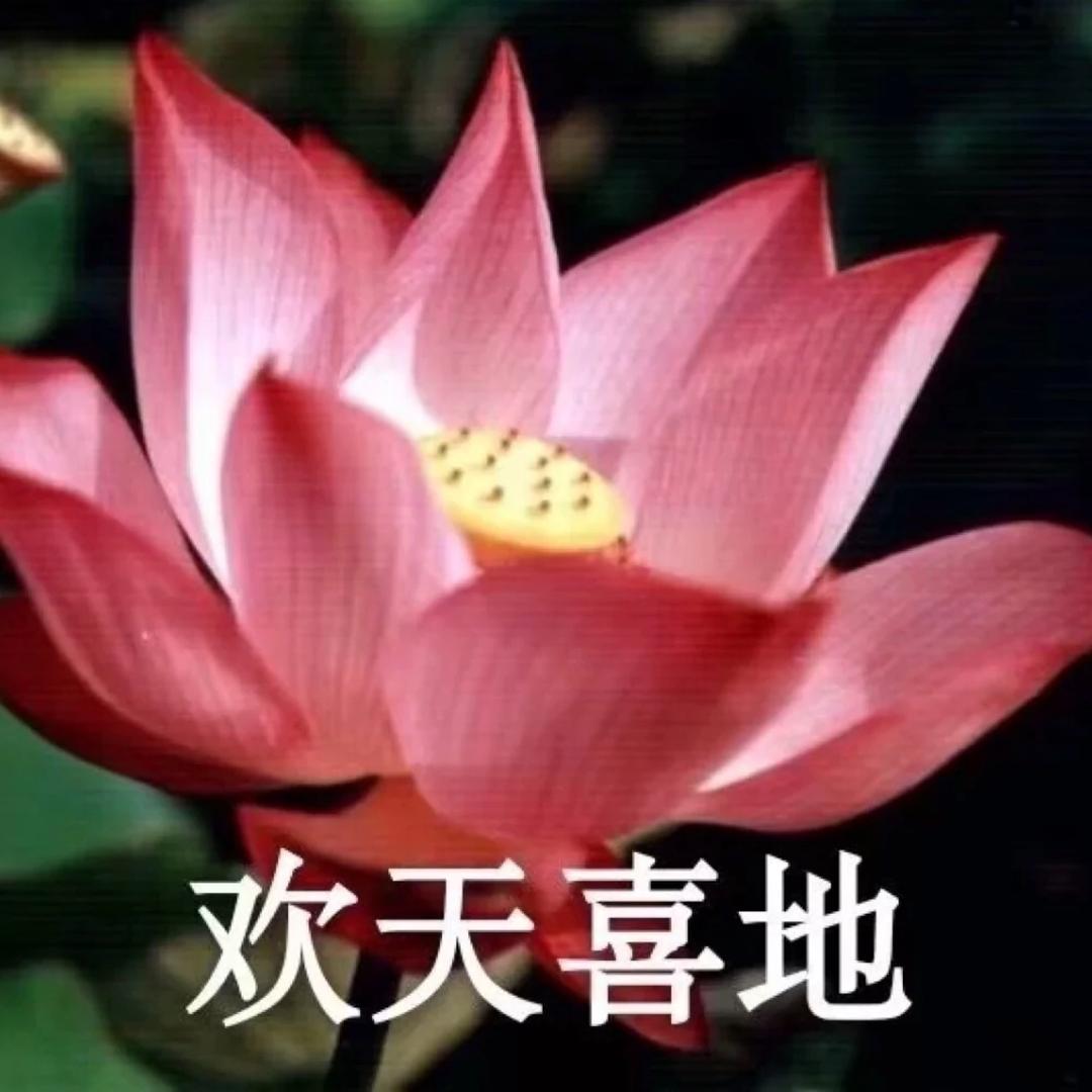 家有小河