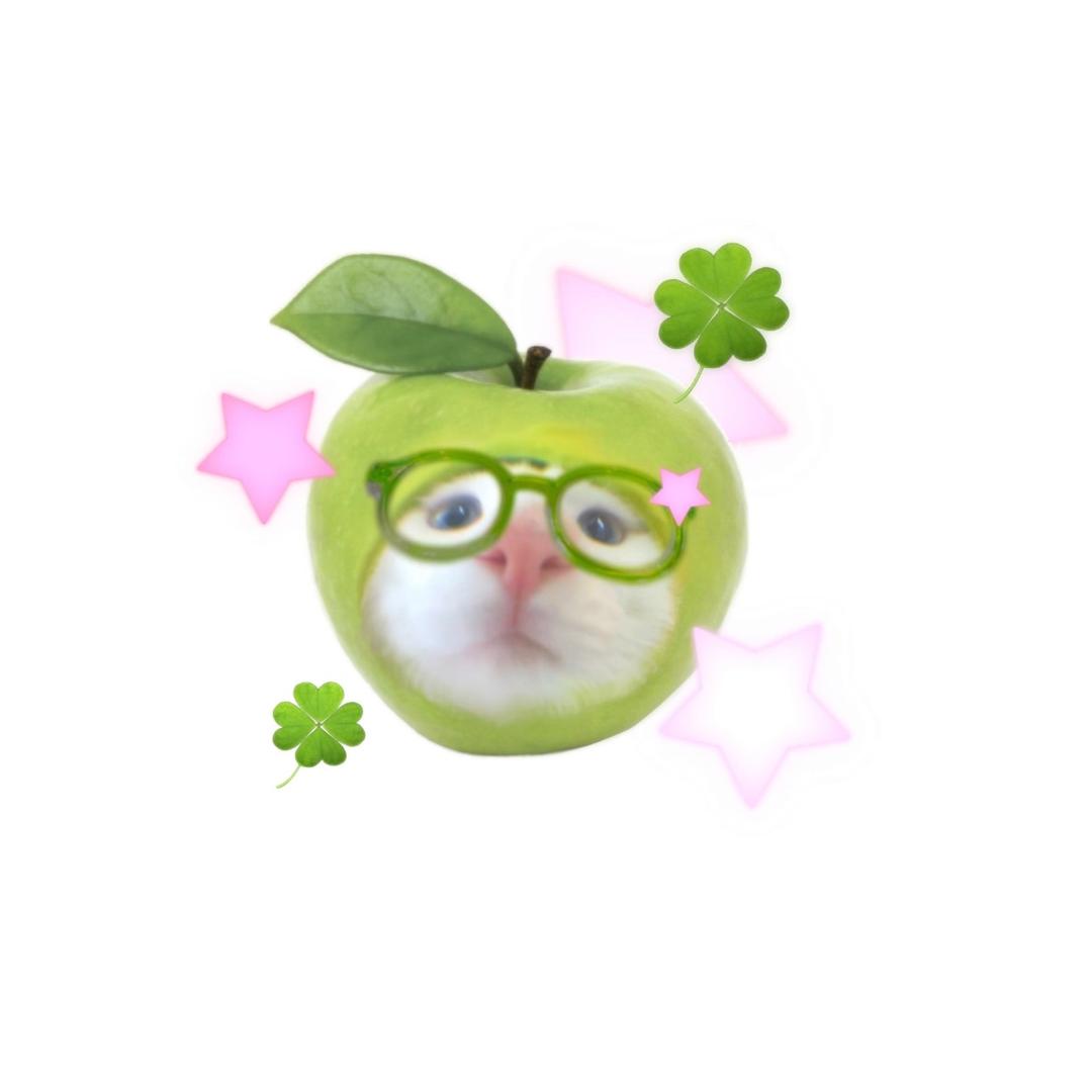 心如止水