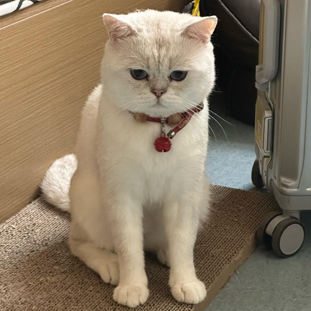 叨叨•