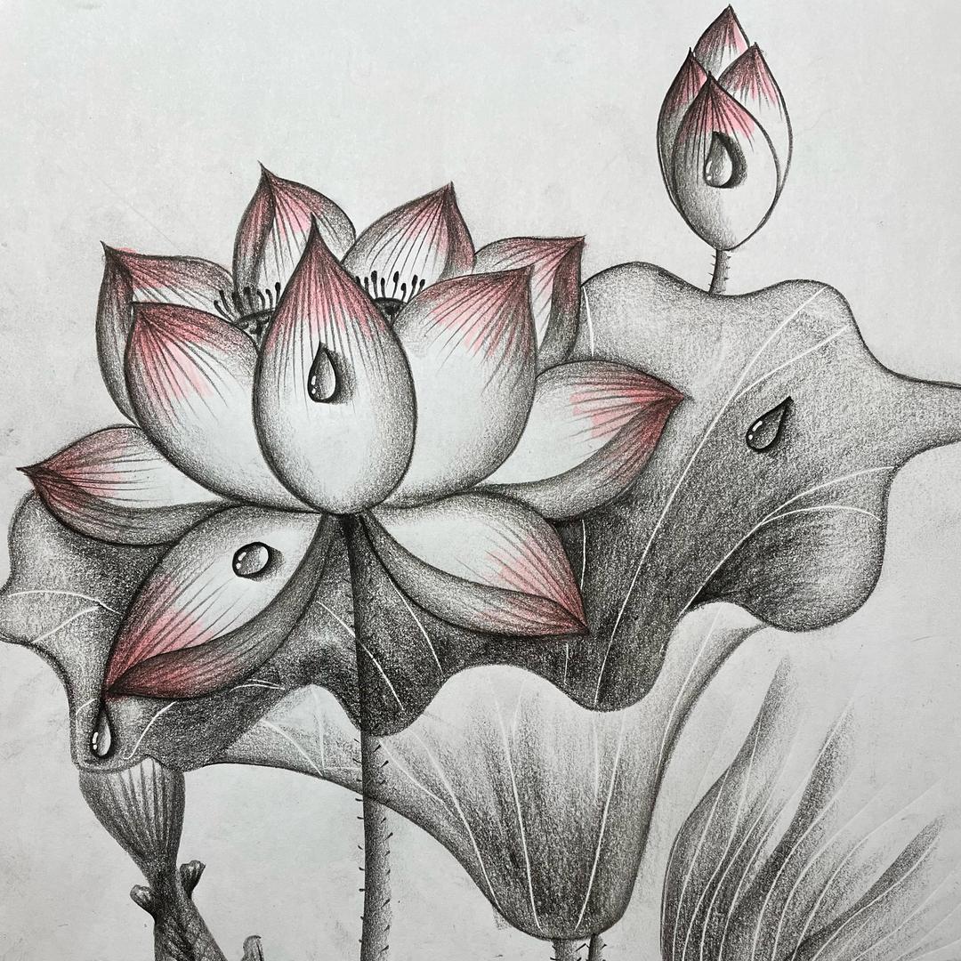 芽木爱画画