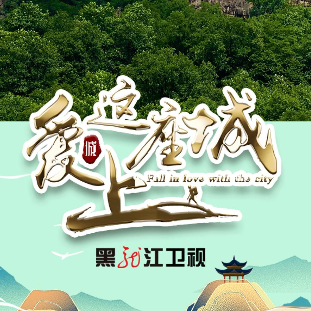 爱上这座城