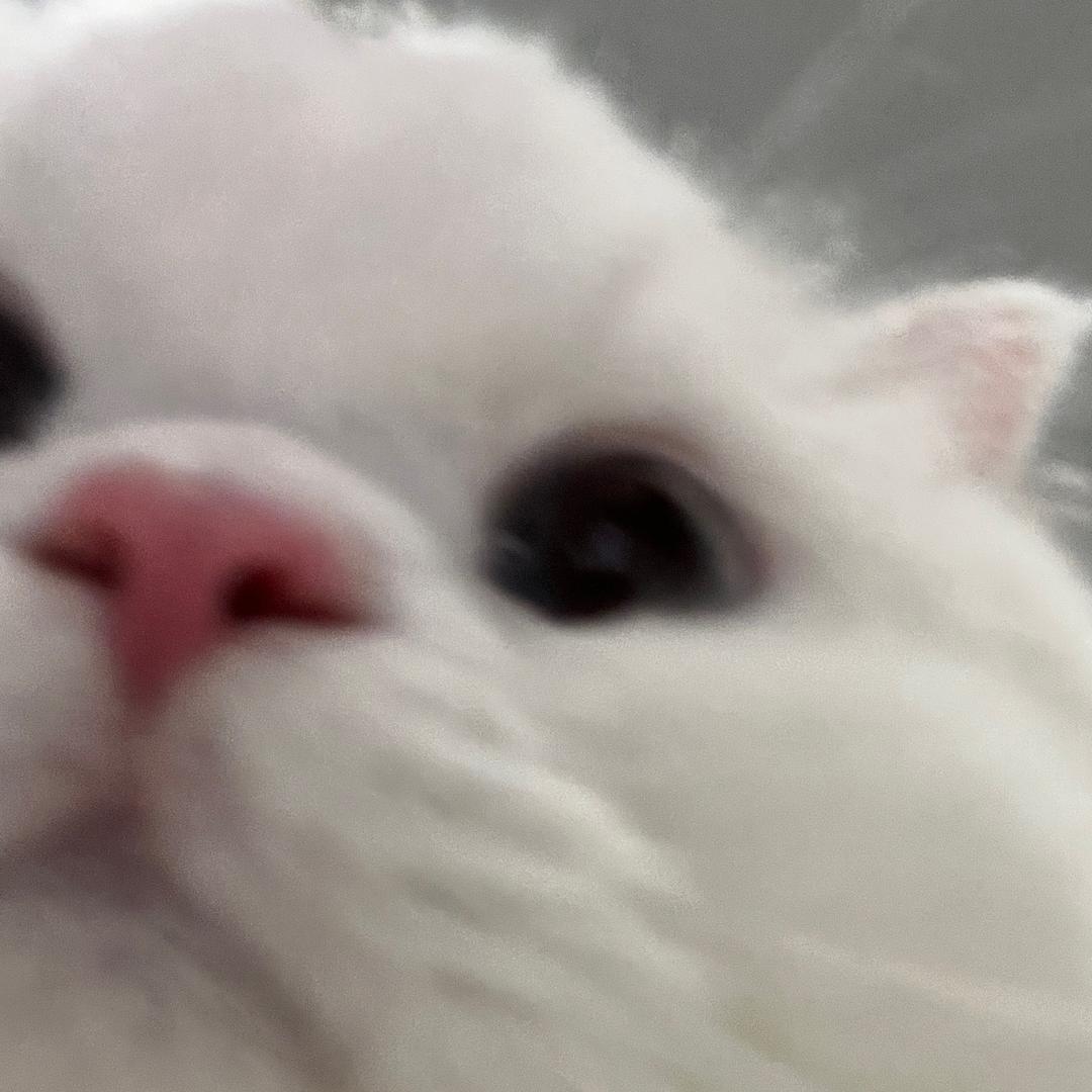 李秋然