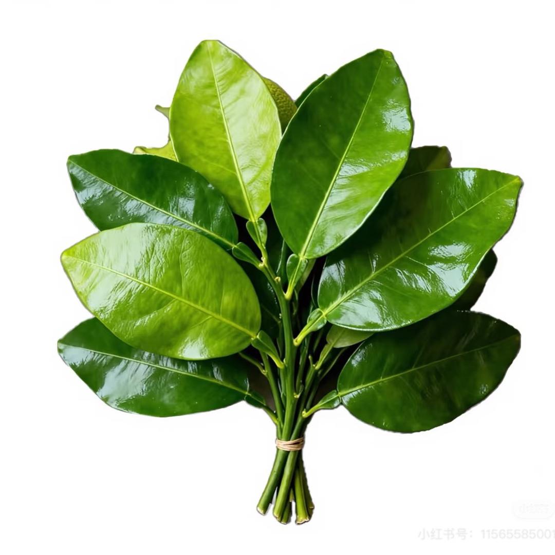 荼荼