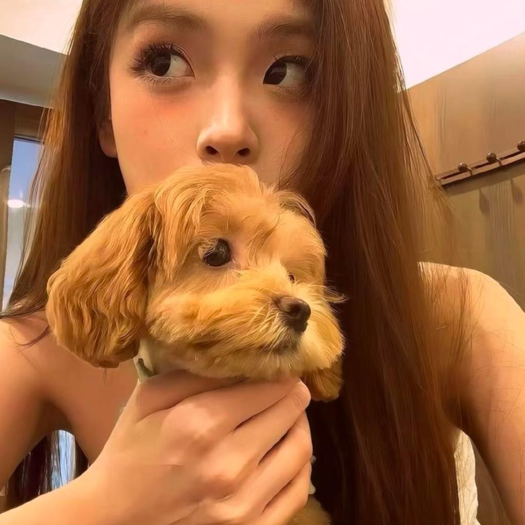 椰子🥥