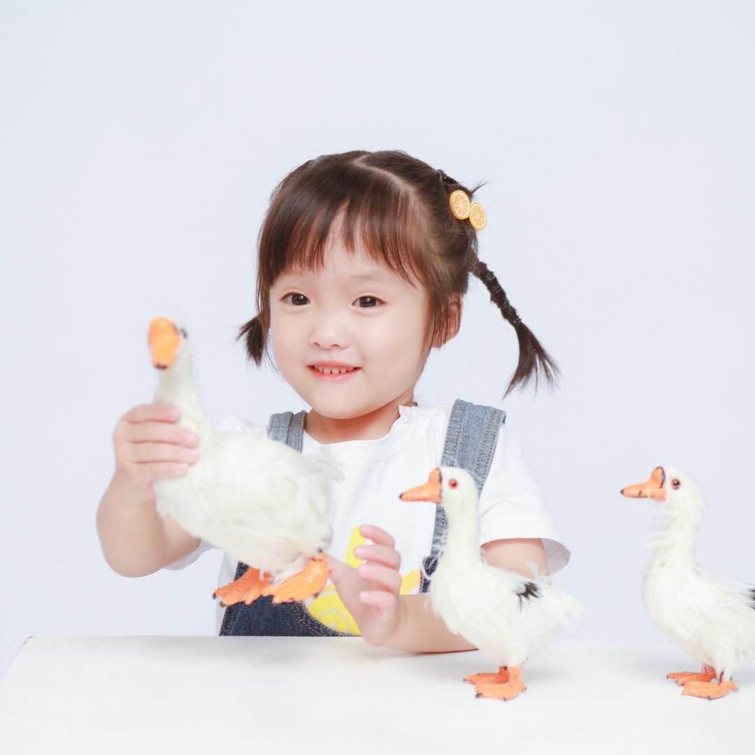 布布宝贝呀