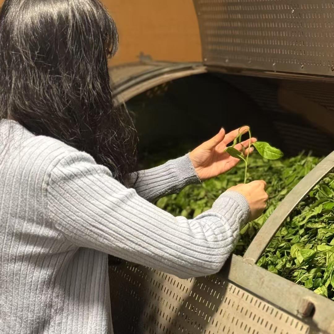 武夷岩茶～