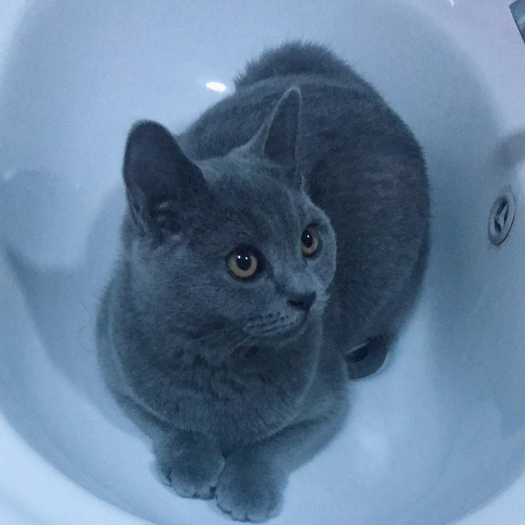 记忆也