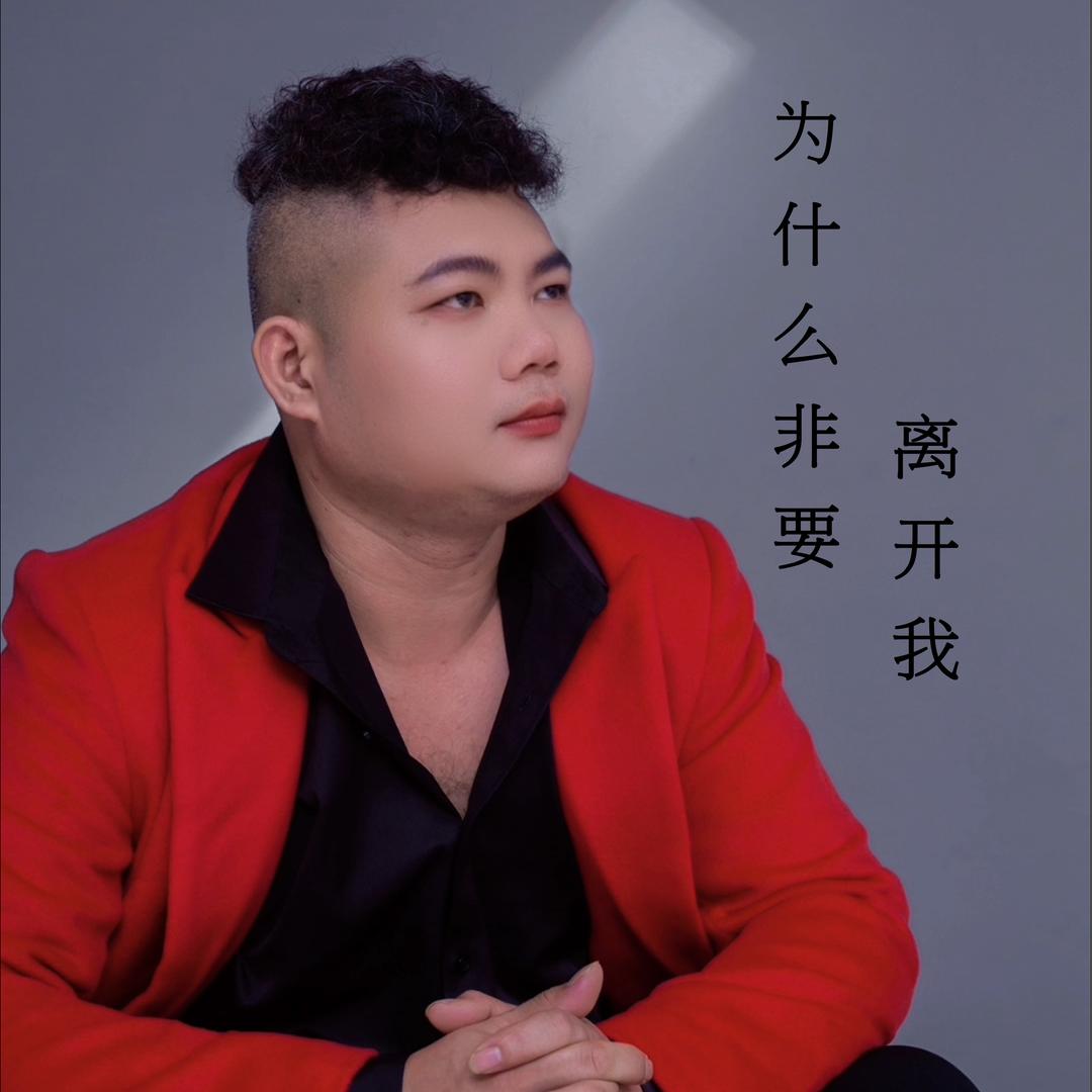 淡定歌