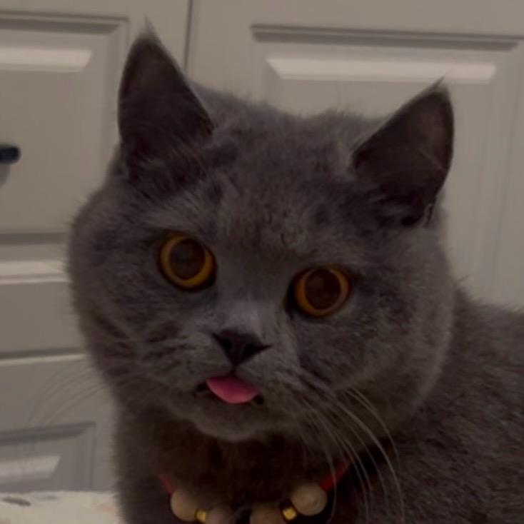 杨同学🧚‍♀️