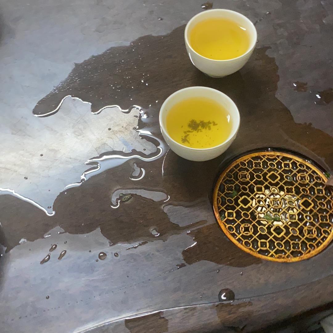 我是树苗呀🌳🌳🌳