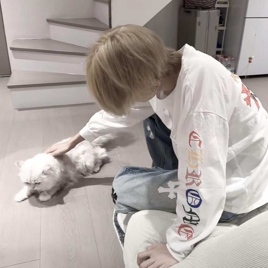 ㅤ ㅤ如果呢