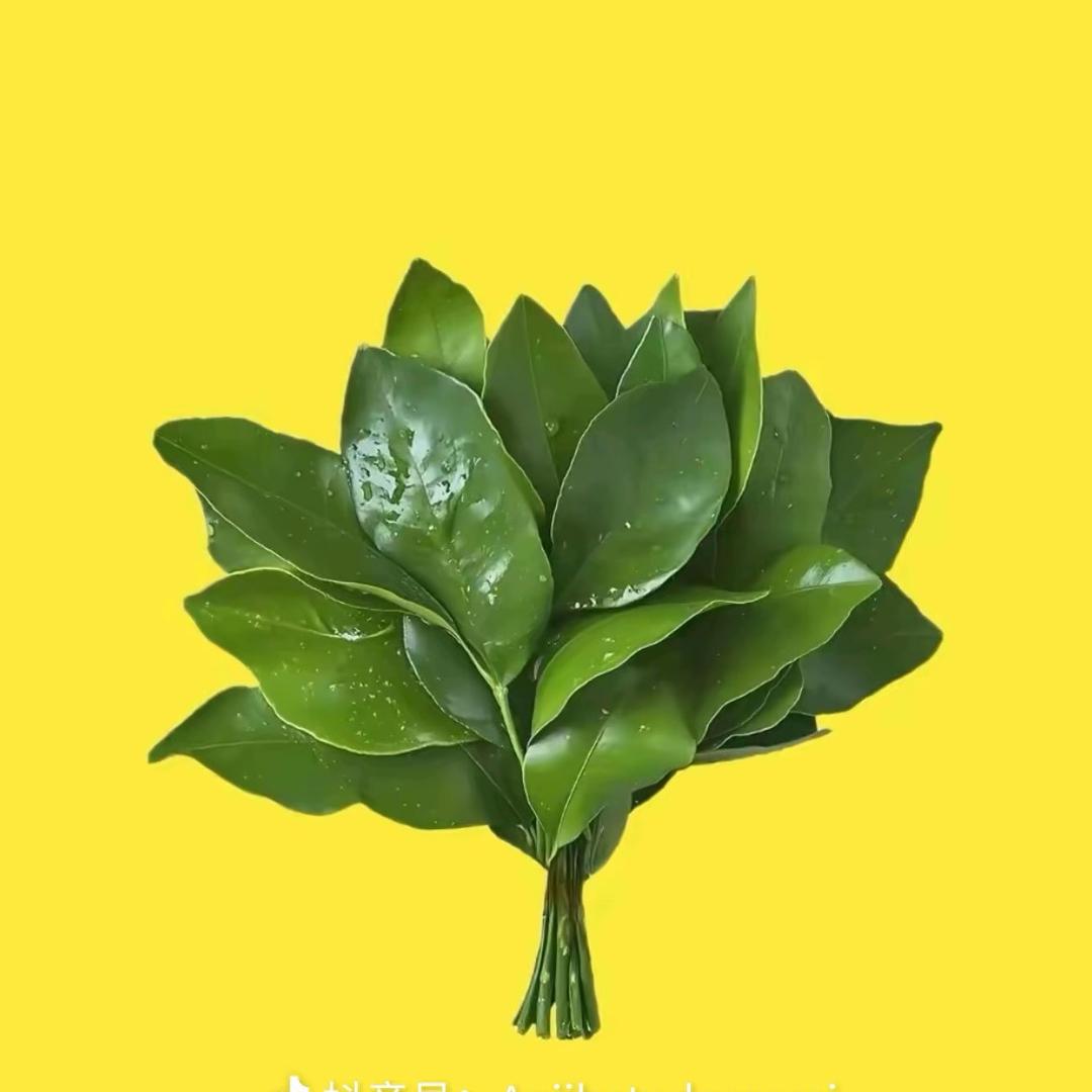 小慧.