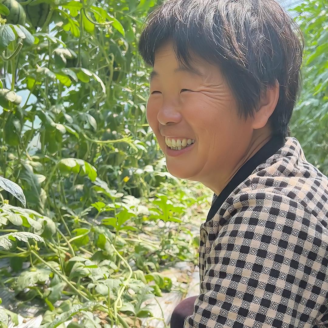 老赵的幸福农场