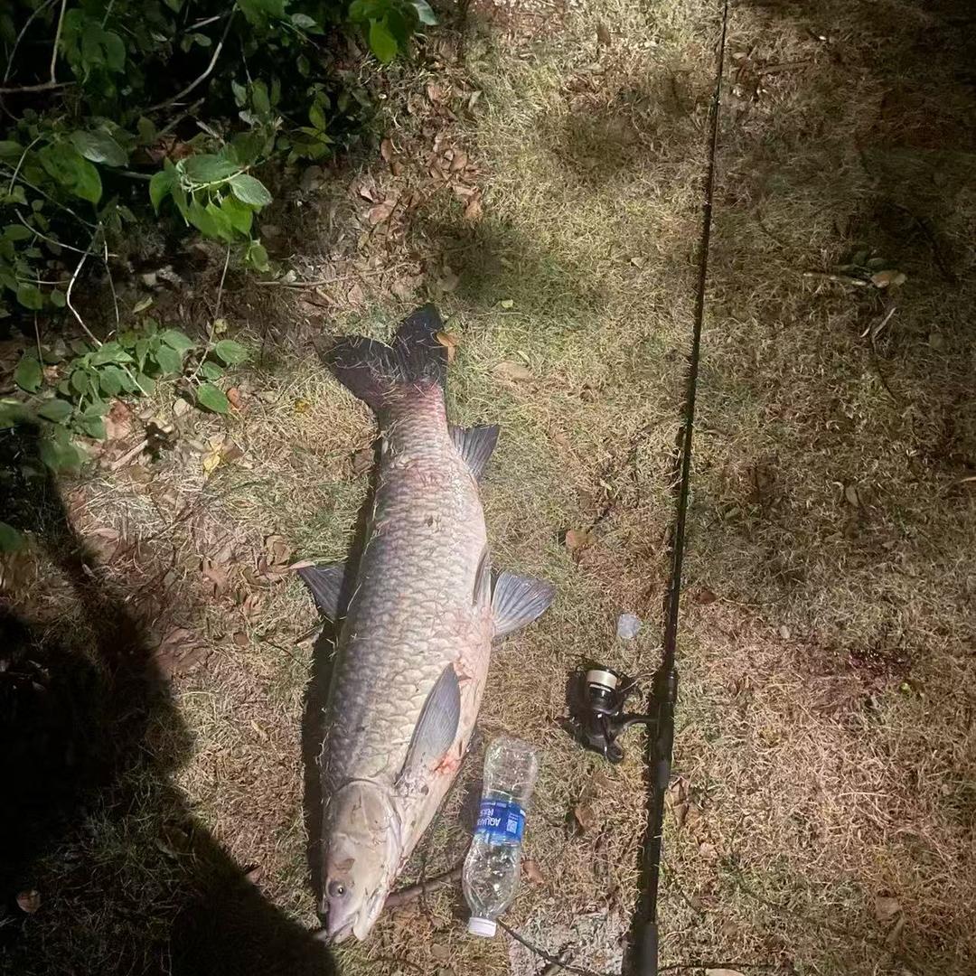 空军大学签约钓手