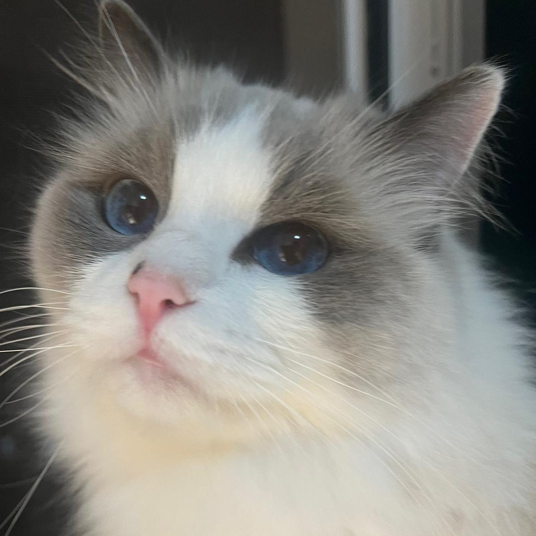🧊
