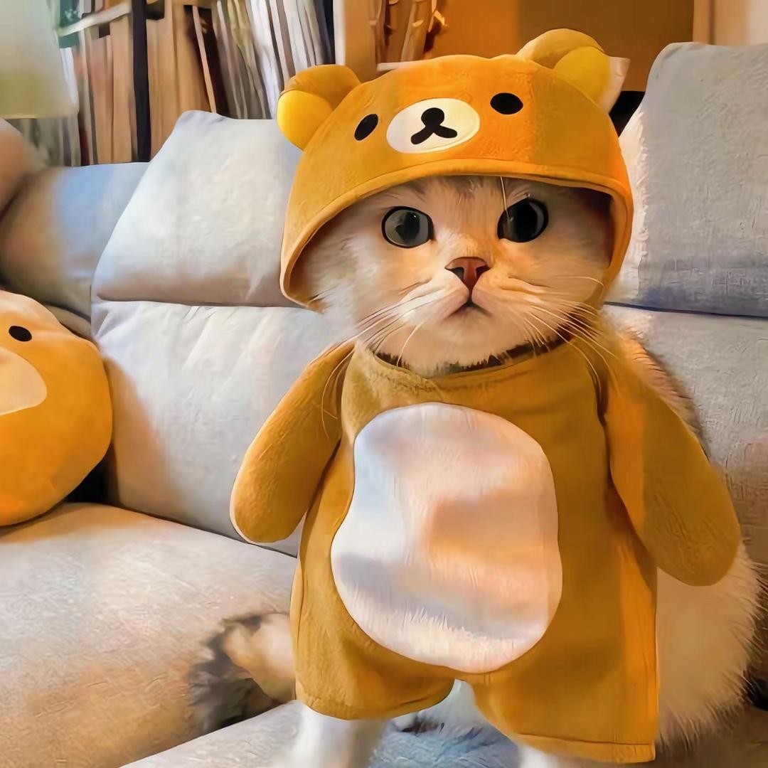 心殤