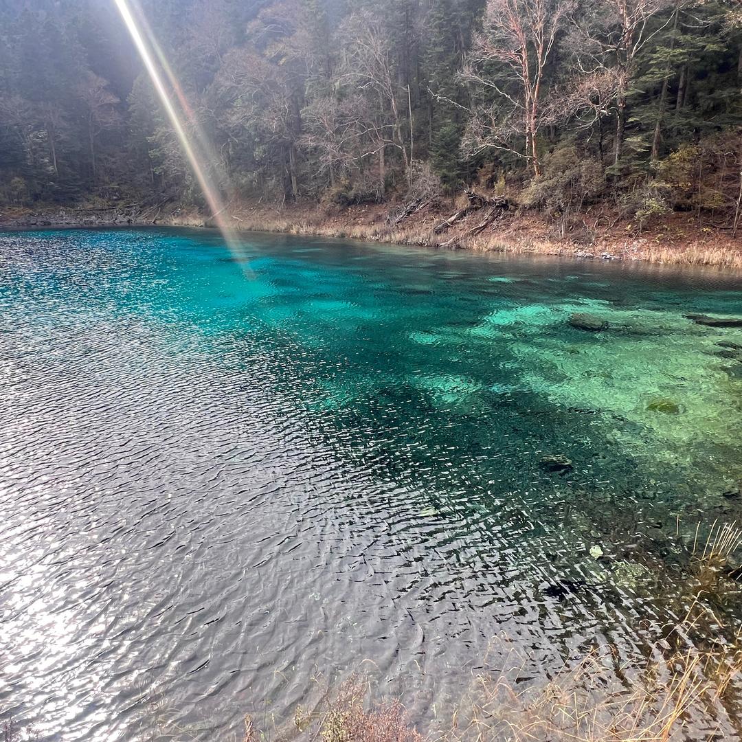璐璐甄选