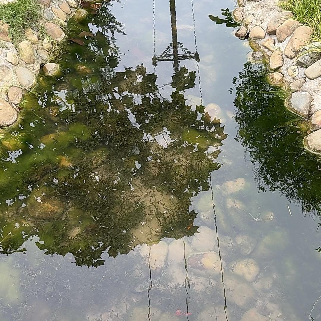 秋天的奶茶在哪