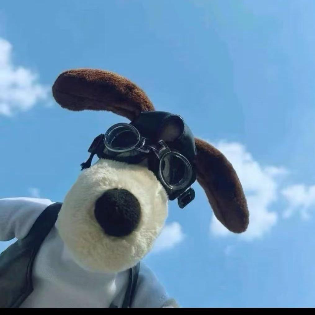 济南中家房地产经济有限公司