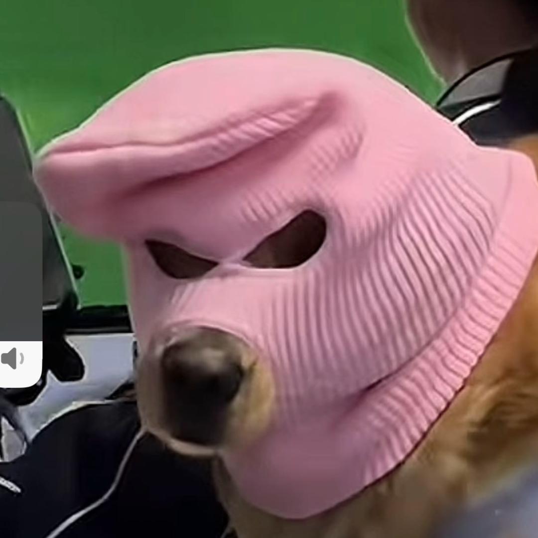 v我二百