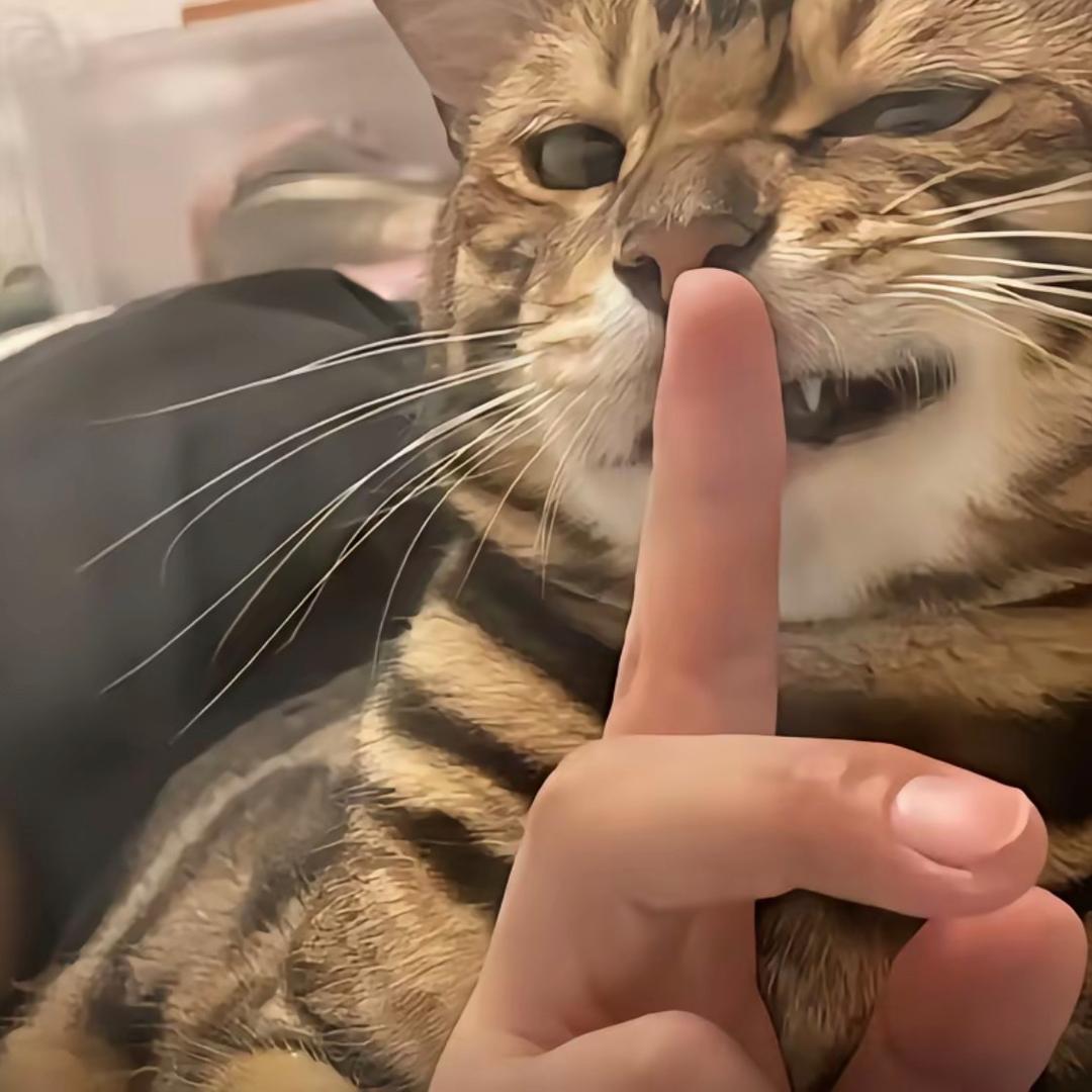 笑一个吧🙂