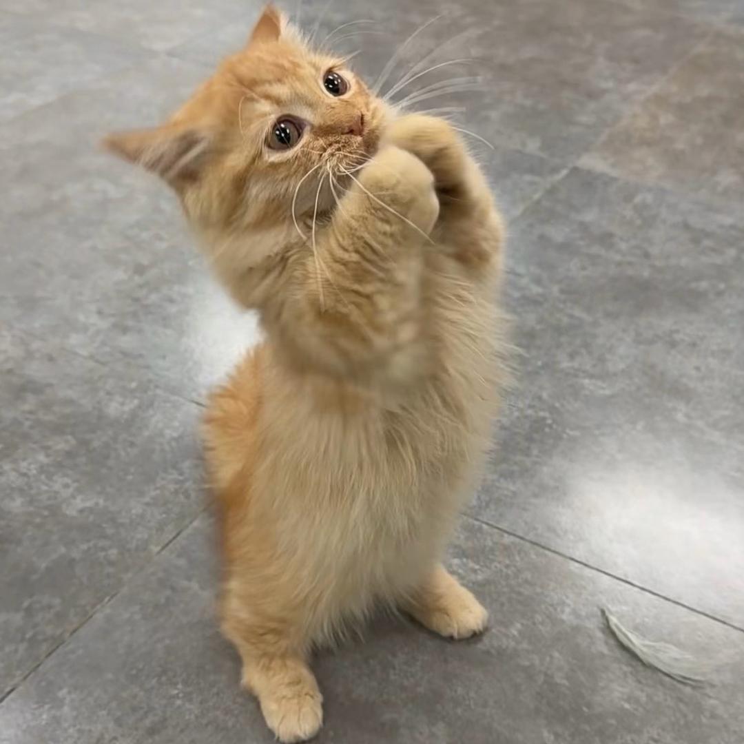 𝙎𝙚𝙫𝙚𝙣.