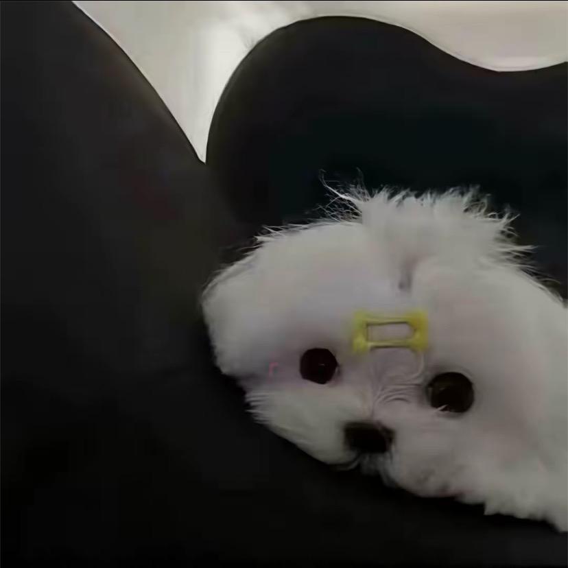 我的手腕有颗粉色痣