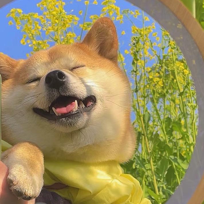 大大代
