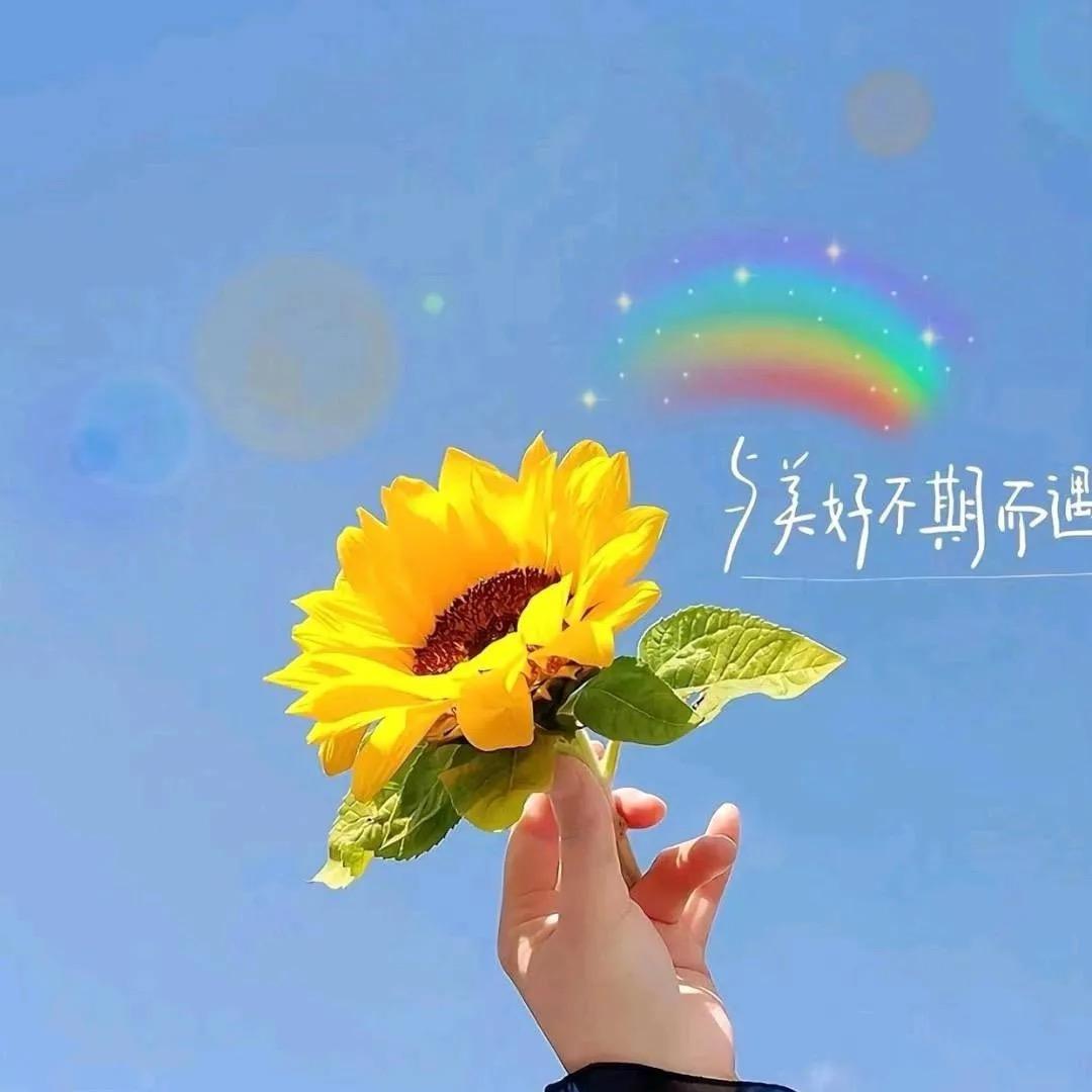 扁桃体不用发言